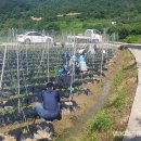 장계면사무소 이미지