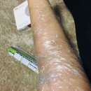 Botem(보탬) 이미지