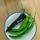 기덕농장 이미지