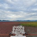 순천만 에코비치 캐슬 이미지