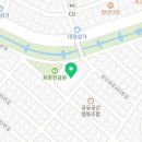 사파동293 이미지