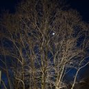 현대노원정비센터 | [노원 수락휴 - 지구별여행자 객실] 서울 최초 자연휴양림 19개월아기랑 6인실 숙소후기