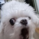 오션파크호텔 이미지