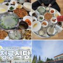 청매실농원 | 봄의 전령사 광양 매화축제 완벽 가이드: 홍쌍리 청매실농원과 현지인 추천 맛집 베스트 5