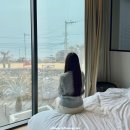 스테이해비움 | 제주도 펜션 추천 위치 제주 구좌읍 숙소 오션뷰 풀빌라 스테이해비움