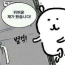 엠씨티 짐 시청 이미지