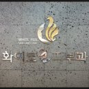 화이트필의원 이미지