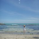 혼디 민박 | 제주도 가볼만한곳 10곳, 추천 숙소, 제주 날씨
