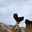 두발로 | 두발로 양말 장목 내돈내산 후기_차정원 양말🧦