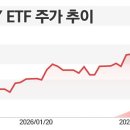 내일 삼전 탈거면 오후에 해야겠어 이미지