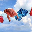 선유세탁 이미지