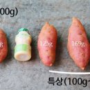 화산고구마 이미지