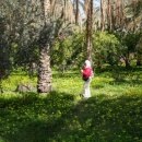 카오아시스 이미지