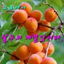 꽃을사랑합니다 이미지