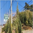 힐링 스크린골프 이미지