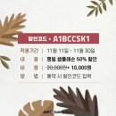 스튜디오틀