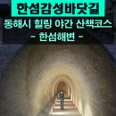 한섬감성바닷길 | 야간산책!야간관광!!동해시 한섬해변&amp;한섬감성바닷길
