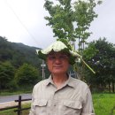 청전어린이집 이미지