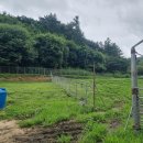 조은염소농장 이미지