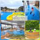 맘스터치속초점 | 속초 아이랑 설악워터피아 후기｜입장부터 워터페이까지 이용팁 정리