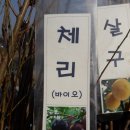 라핀스체리농장 이미지