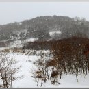 후암농장 Daum카페