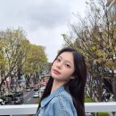 이안 이미지