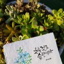 수채화캘리그라피 이미지