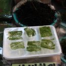 조씨네 미역 이미지