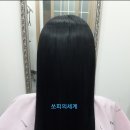 쏘피의 세계 이미지