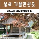 물야면 이팝나무 | 경북 봉화 가볼만한곳 분천역 산타마을 포함 7곳 주말여행으로 딱!