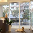 멍뭉식탁 이미지