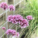 까사델 경주 이미지