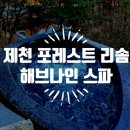 가-85 | 제천 포레스트 리솜 스파, 겨울여행 가볼 만한 곳, 해브 나인 할인정보 및 스톤 스파 이용 후기 꿀팁 정리