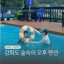 강화도 수영장 펜션 가성비 숙소 숲속의 오후 그린버드 솔직후기