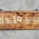 엉또돌다카페농원 이미지