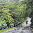 영랑생가 | 강진여행(다산초당.백련사.만덕산.영랑생가)