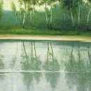 천과나무 이미지