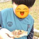 판교도서관 | 성남 판교어린이도서관 로봇체험관 이용 후기