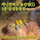 아이닥터 콘택트 울산점 | 캐니언파크 울산점 실내 동물원 솔직후기/가격 할인팁·주차·체험 총정리