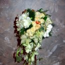 캐스캐이드 이미지