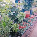 광명농원 이미지