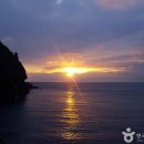 울릉도 여행 필수코스 추천(+걷기 명소)