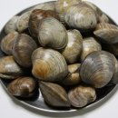 썬푸드마켓