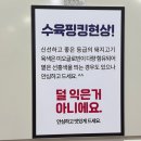 손수제비 | 공주 맛집 고향손칼국수 들깨수제비 수육 솔직후기