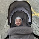 (주)자이언트에너지 | 6개월 아기 문화센터, 신세계아카데미 천안아산점 리틀 자이언트(6~13개월) 수업 후기