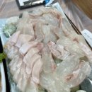 백김치새싹막회 이미지
