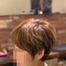 보나단헤어엔카페 이미지