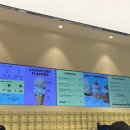 엔아이글로벌 | [강남역 맛집] 밴루엔 강남역점 / 오픈 첫날 미국 뉴욕에서 온 아이스크림 맛집(피스타치오 맛 강추)
