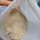 선식이 생각나는 계절에는 농라 오곡형제춘천네 미숫가루